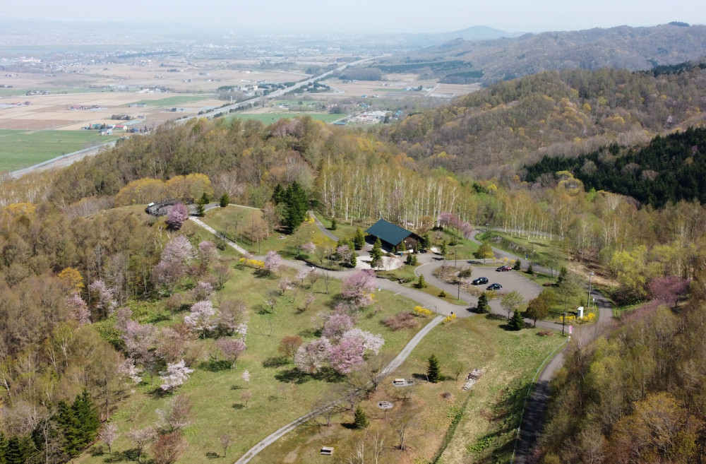 ゴールデンウイークは桜の名所「にわ山森林自然公園」へ！（北海道